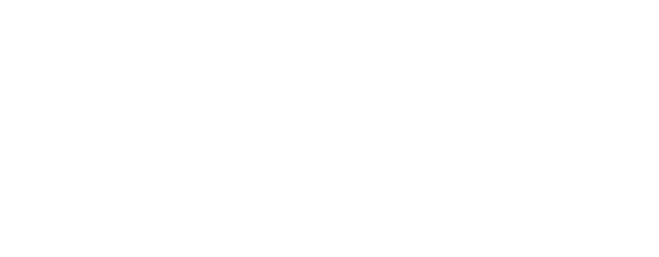 Logo IBOSA